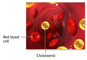 cholesterol moving in the blood flow