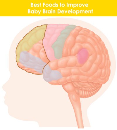 baby brain development