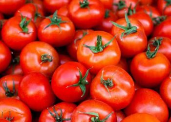 Best health benefits of tomatoes
