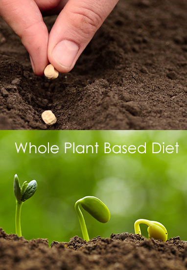whole plant based diet