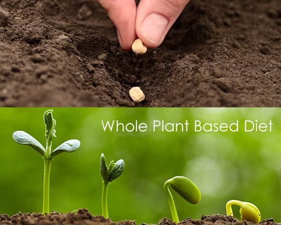 whole plant based diet