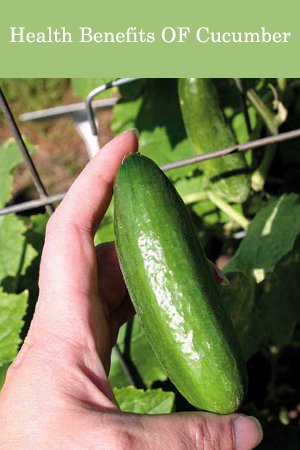 Health Benefits OF Cucumber