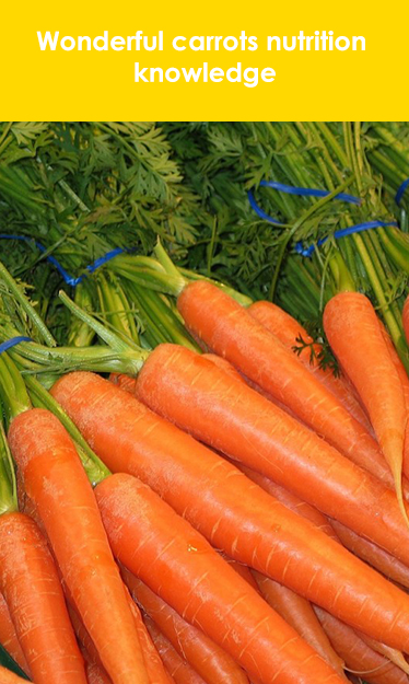 Carrots nutrition