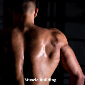 best muscle building foods