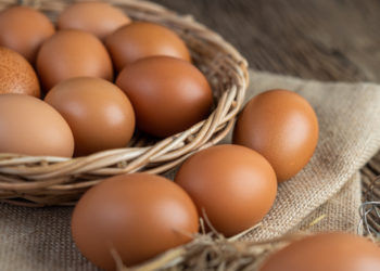 How Much Protein is in an Egg